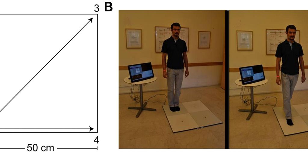 vestibular physiotherapy session